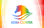 競馬場別・RPT別　馬連の和データ一覧