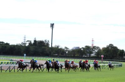 中山阪神小倉　穴馬予想