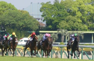 中山阪神小倉　穴馬予想【無料あり】