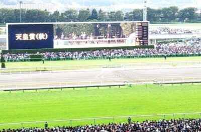 1/24(日) 中山7.9.10.12R予想