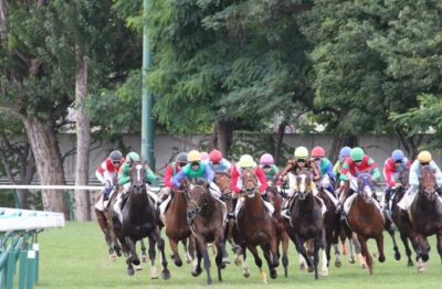 1/24(日) 小倉8.9.11.12R予想