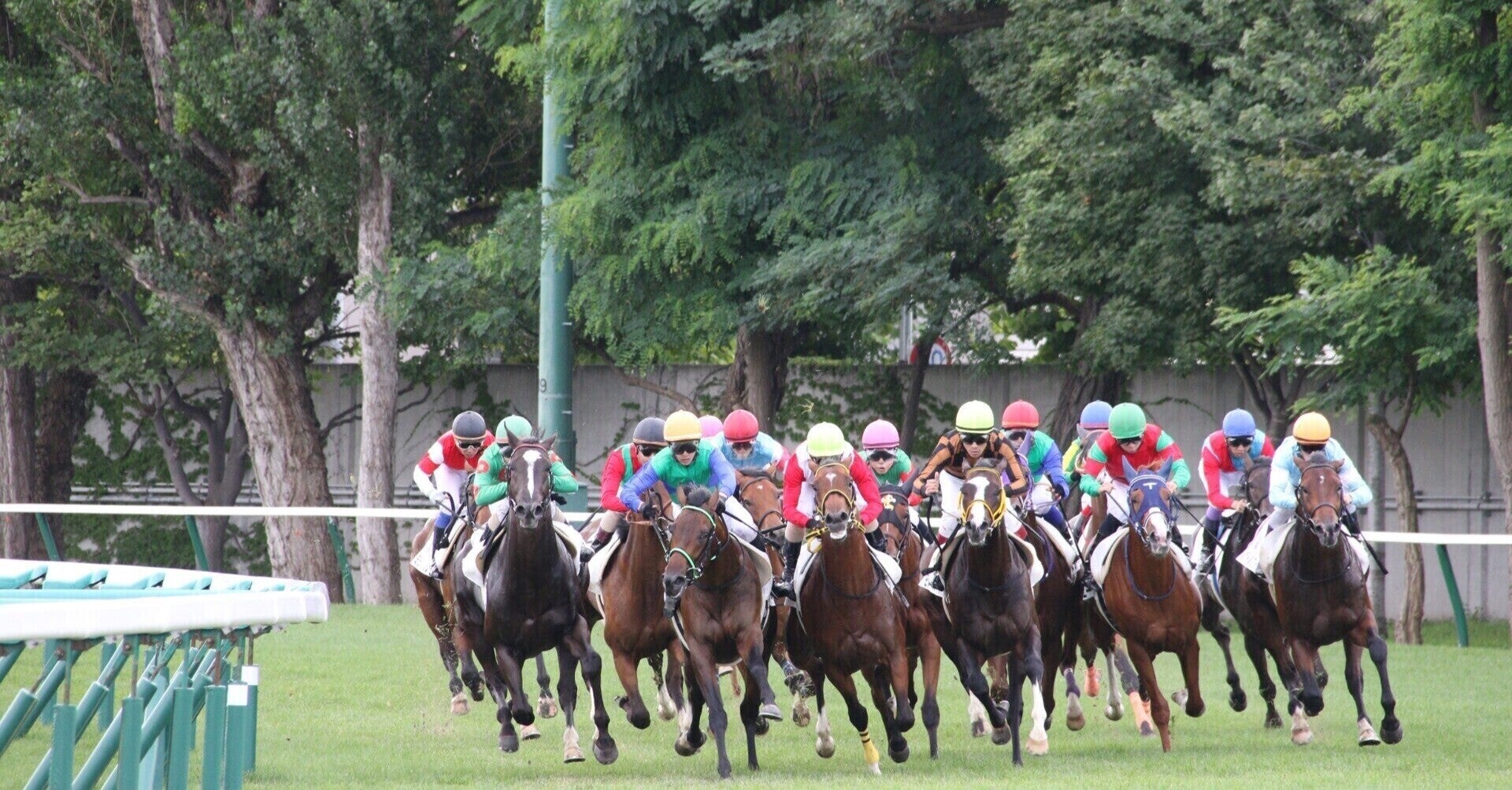 1/24(日) 小倉8.9.11.12R予想