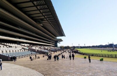 1/23(土) 中山中京小倉11.12R予想