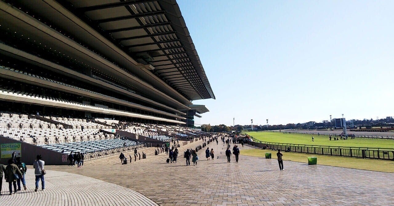 1/23(土) 中山中京小倉11.12R予想