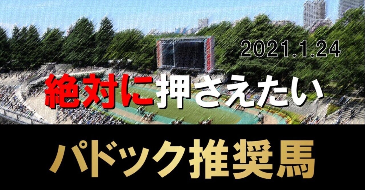 1/24(日)中央競馬パドック予想