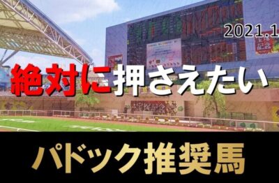 1/17(日)中央競馬全レースパドック予想