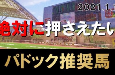 1/16(土)中央競馬全レースパドック予想