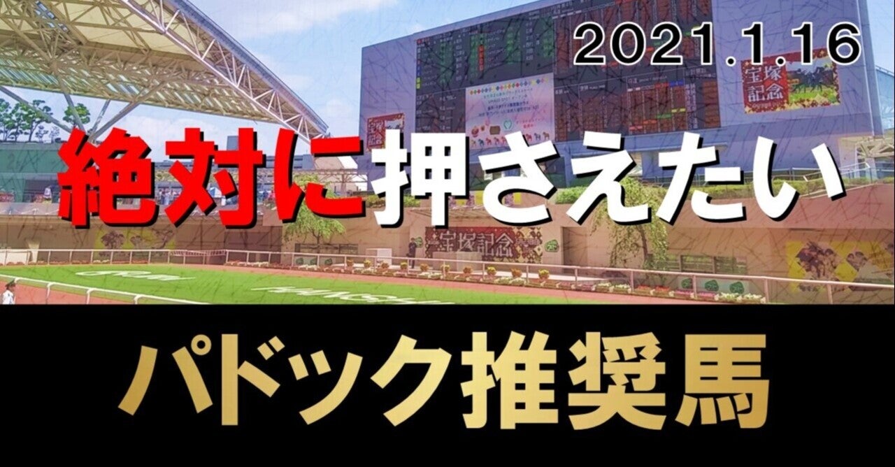 1/16(土)中央競馬全レースパドック予想