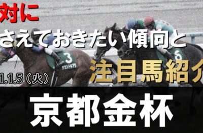 2020/1/5(火) 京都金杯【GⅢ】押さえておくべき傾向と注目馬紹介！