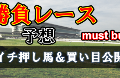 中山８Ｒ　イチ押し馬&買い目公開