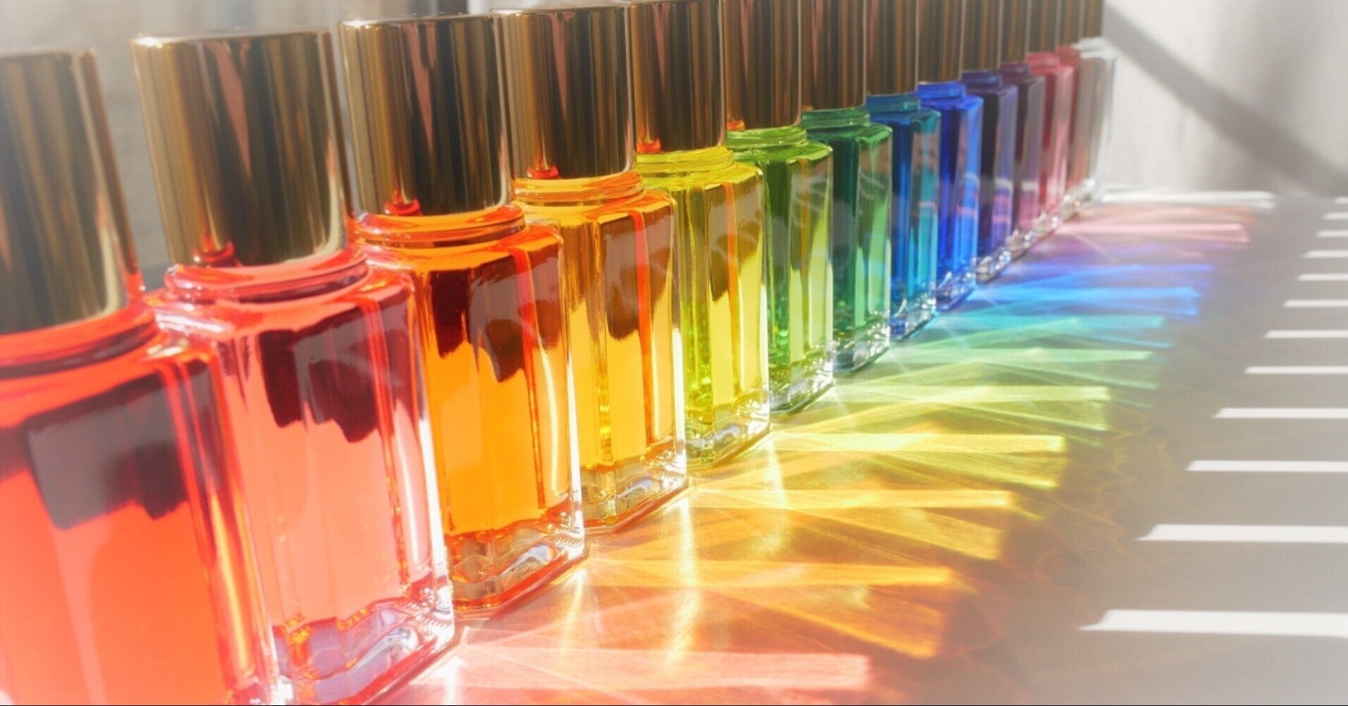 1/28 川崎競馬『全頭回収率表』