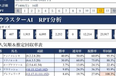 新型 『競馬クラスター新聞』の説明書