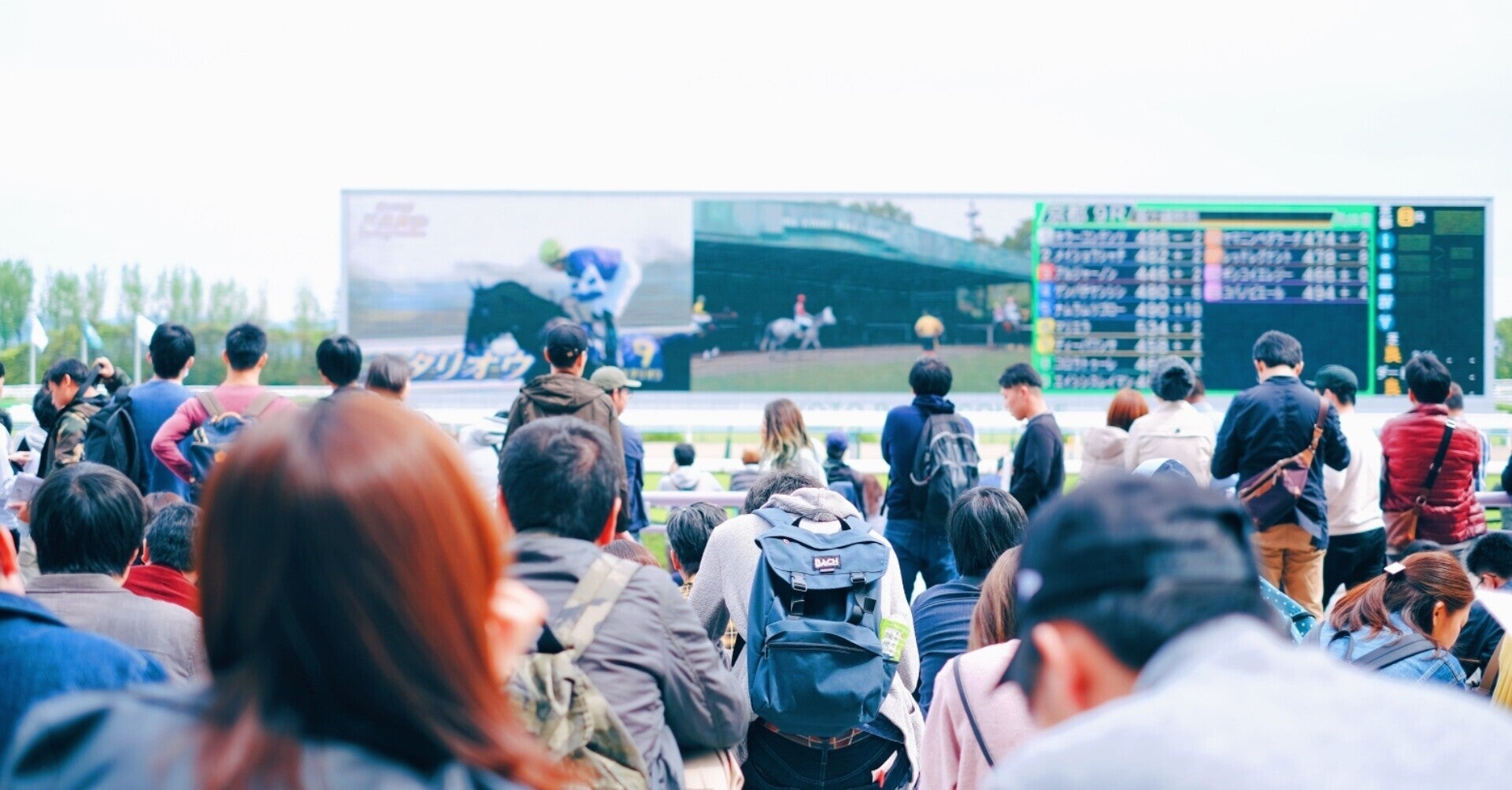 1/30 東京 12R 逆転可能な穴馬から推奨馬5頭