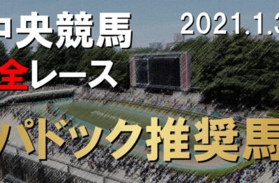 1/31(日)中央競馬パドック予想