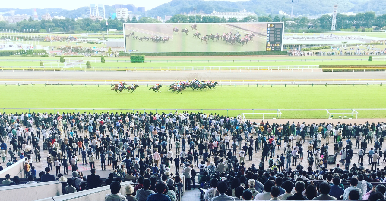 2/2 浦和競馬『BB推奨軸馬・穴馬』