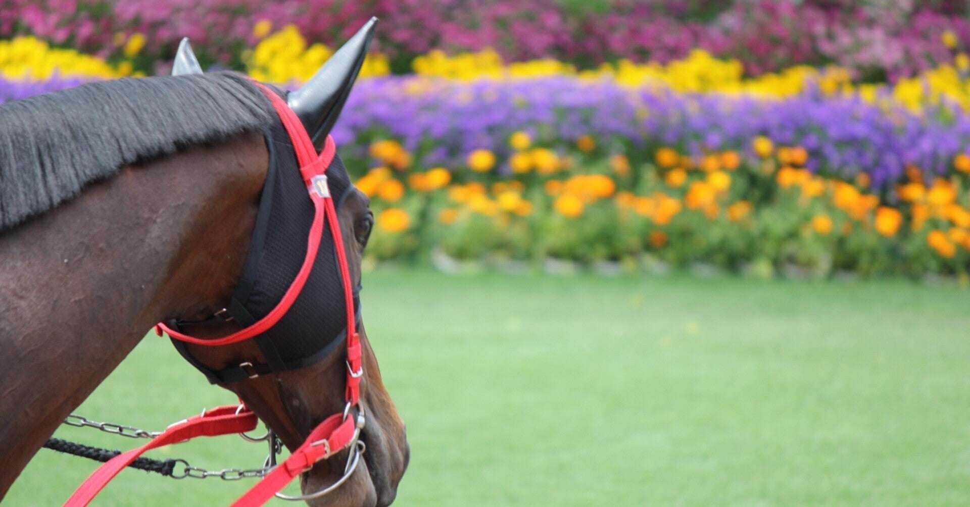 浦和11R12R 穴馬情報🚨