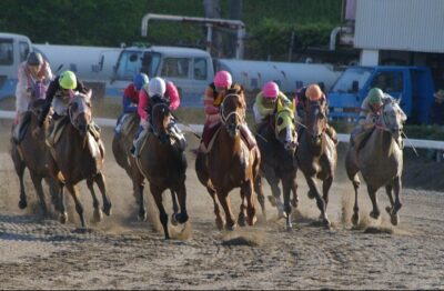 浦和11R12R 穴馬情報🚨