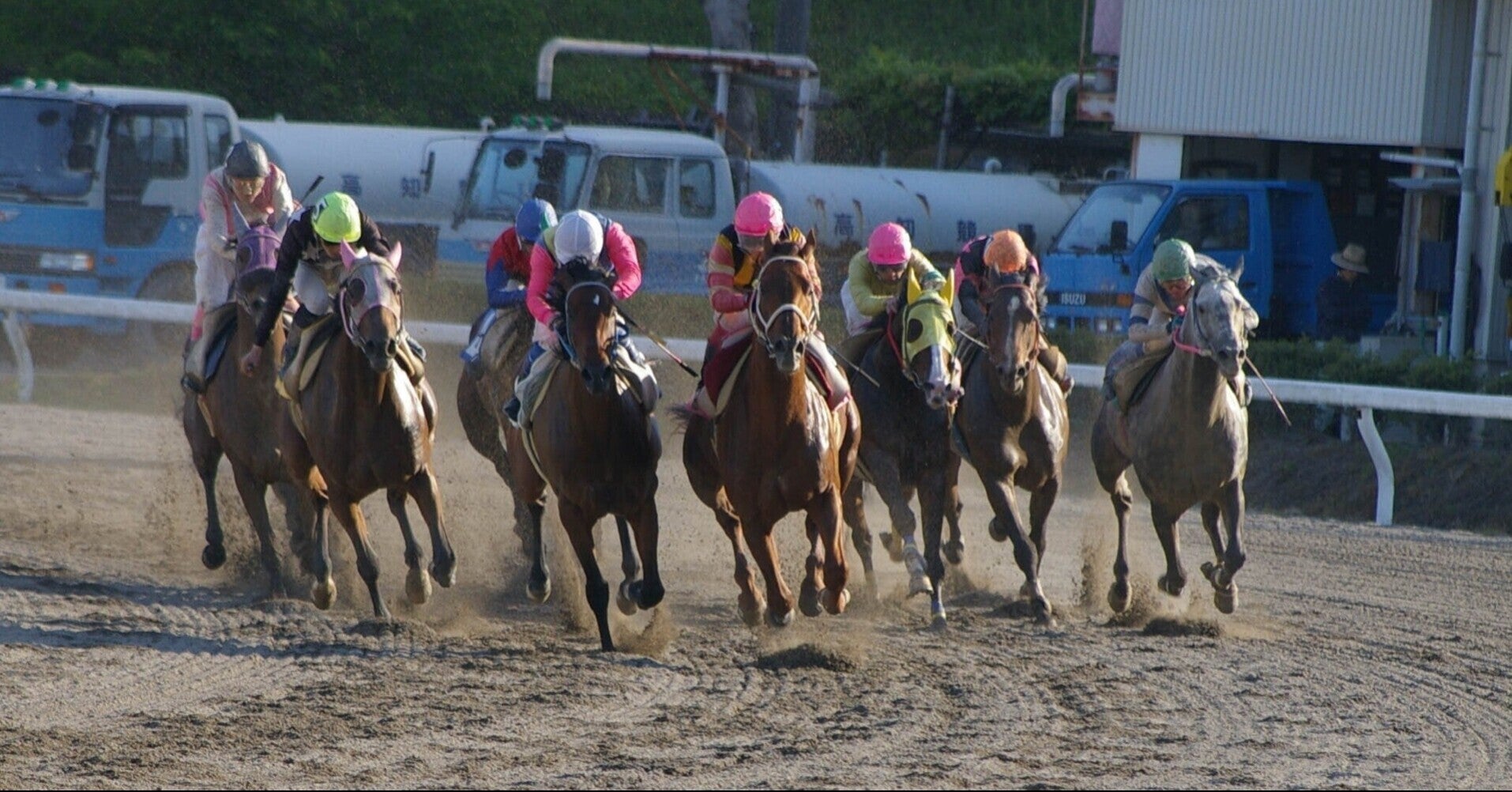 浦和11R12R 穴馬情報🚨