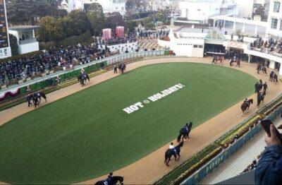 2/6 東京3.4R/中京3.4R/小倉3.4R『狙い目考察、買い目』