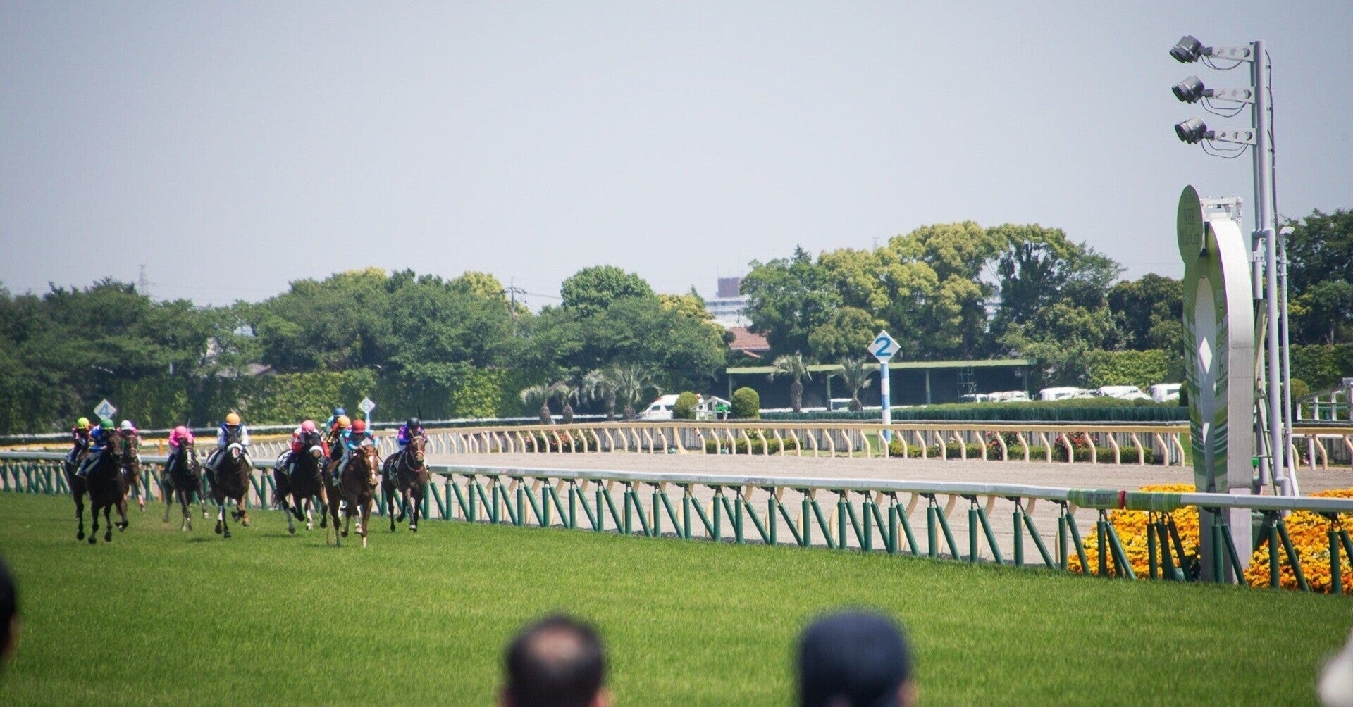 東京中京小倉予想　【前半無料あり】