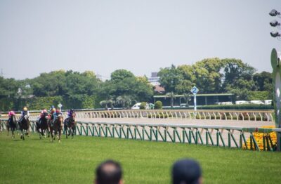 東京新聞杯　考察