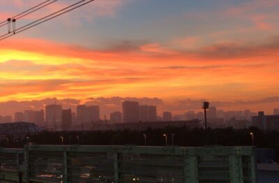 船橋11R12R 穴馬情報🚨