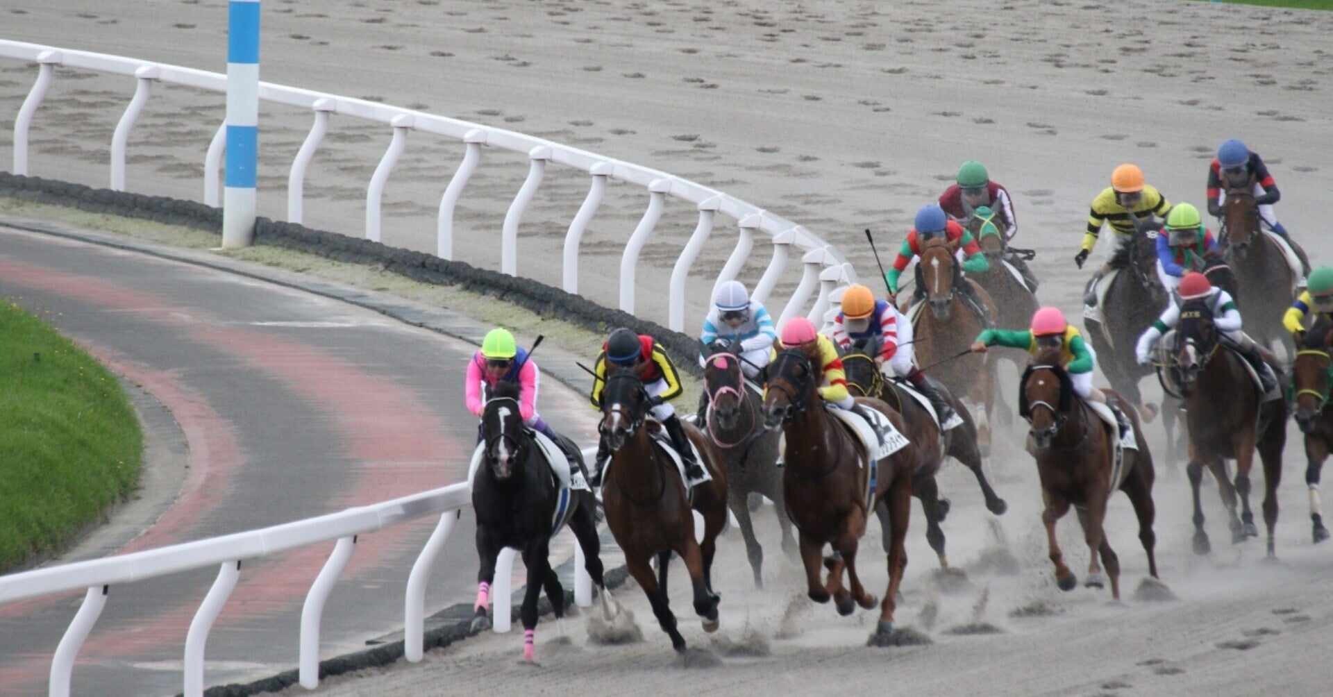 東京阪神小倉　穴馬予想【前半無料あり】