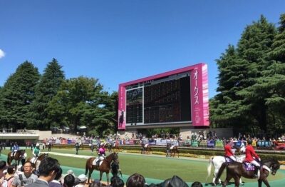 2/22 浦和競馬『BB推奨馬』