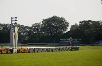 中山阪神小倉　穴馬予想【無料あり】