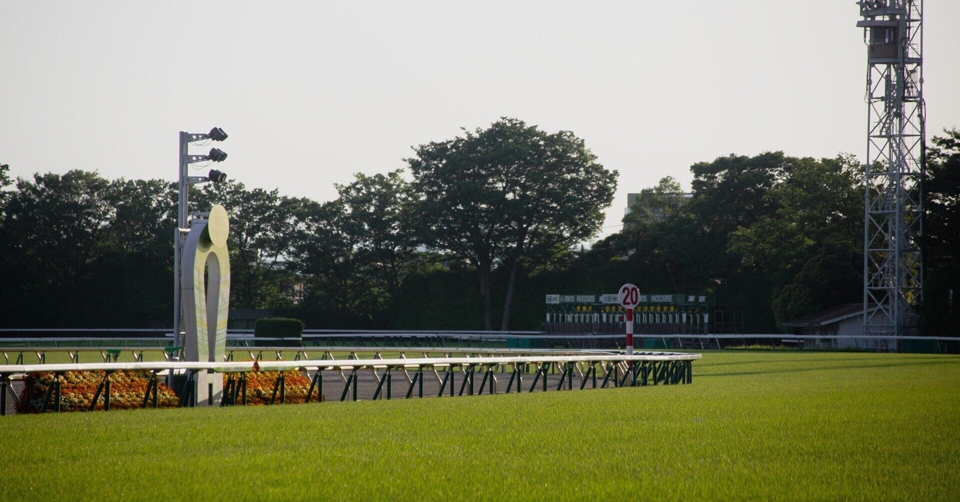 中山阪神小倉　穴馬予想【無料あり】