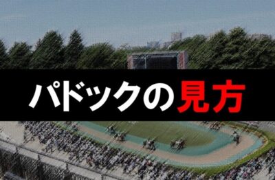 パドックの見方と考え方