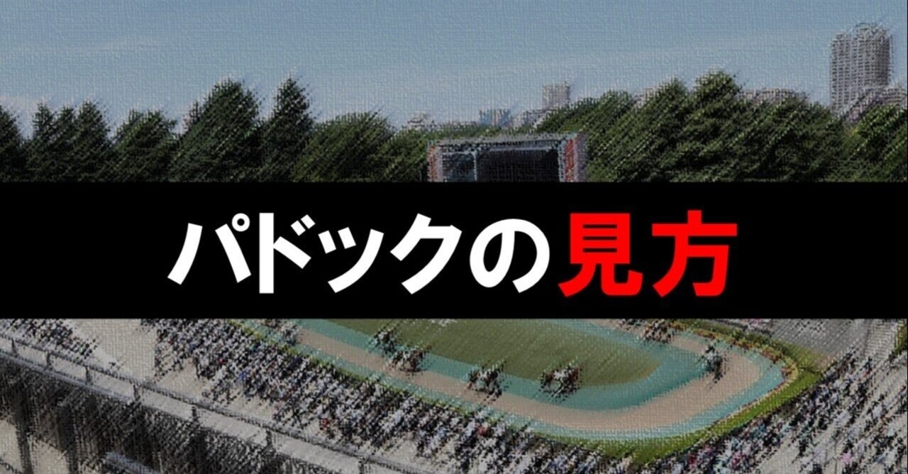 パドックの見方と考え方