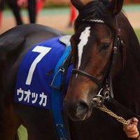 馬見師T