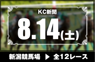 8/14(土)新潟競馬『KC新聞』全12レース