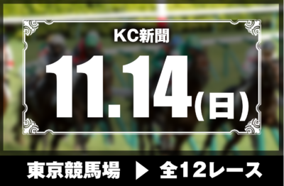 11/14(日)東京競馬『KC新聞』全12レース