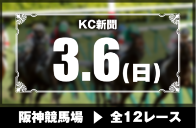 3/6(日)阪神競馬『KC新聞』全12レース